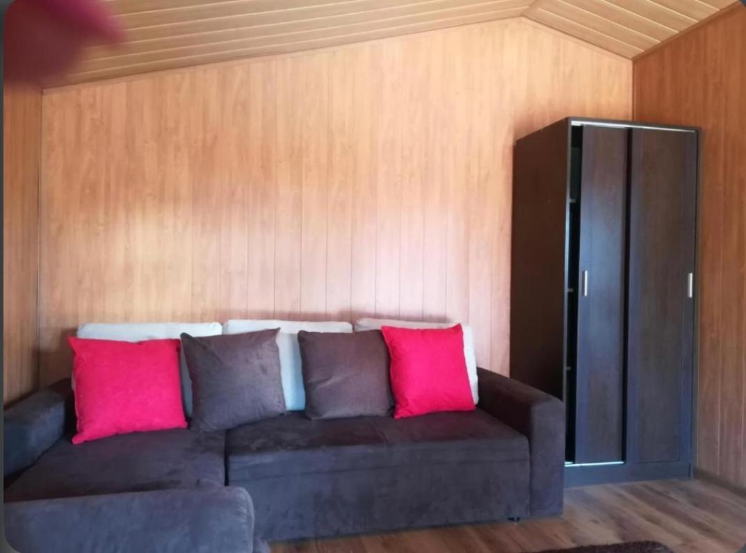 Kwatery Prywatne مينززدرويه المظهر الخارجي الصورة
